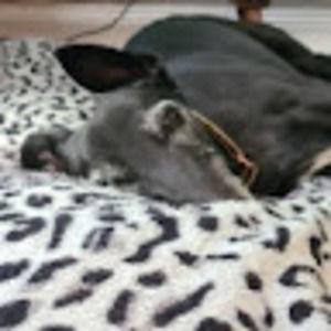 Meet your Posher, Fiona